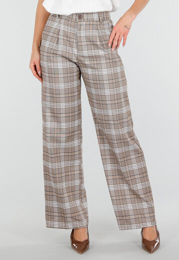 Beige Geruite Pantalon Straight Leg