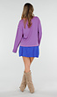 Roze en Blauw Gestreepte Top met Lange Mouwen en Stretch