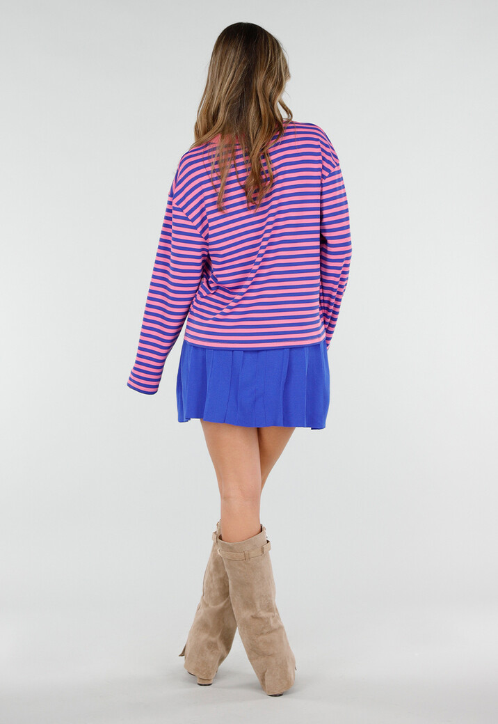 Roze en Blauw Gestreepte Top met Lange Mouwen en Stretch