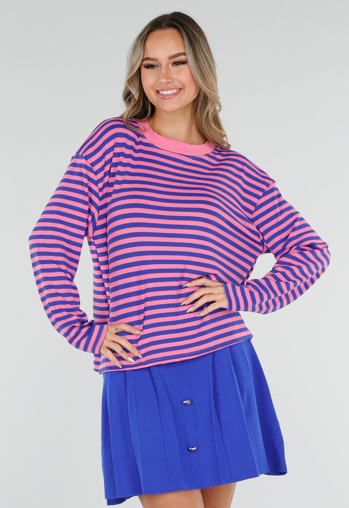 Roze en Blauw Gestreepte Top met Lange Mouwen en Stretch