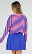 Roze en Blauw Gestreepte Top met Lange Mouwen en Stretch