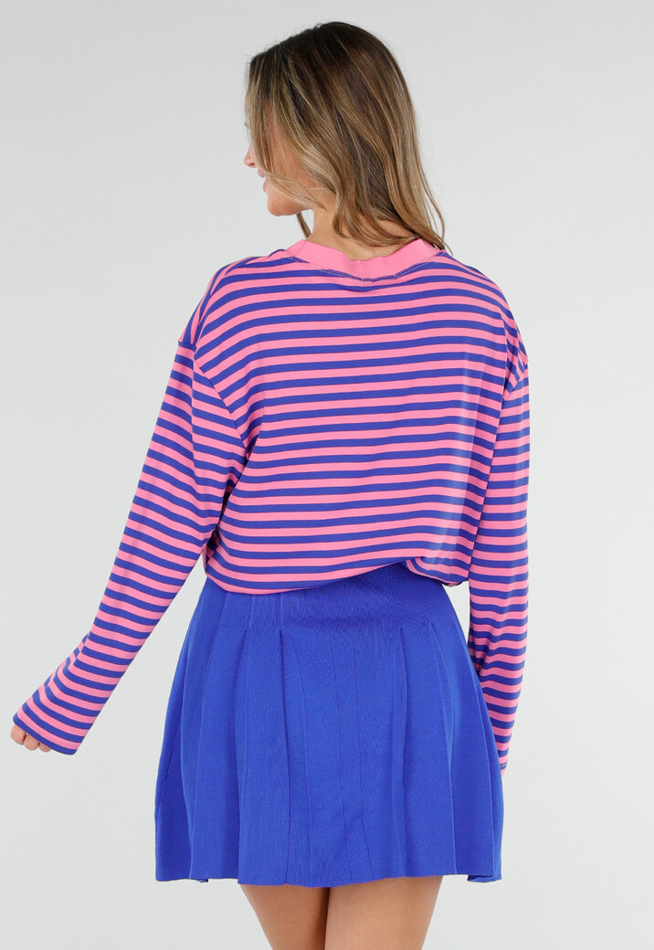 Roze en Blauw Gestreepte Top met Lange Mouwen en Stretch