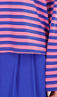Roze en Blauw Gestreepte Top met Lange Mouwen en Stretch