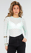 Mintgroene Mesh Body met Lange Mouwen met Stretch