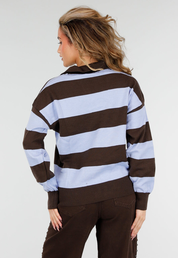 Bruin en Lichtblauw Gestreepte Polo Trui met V Hals