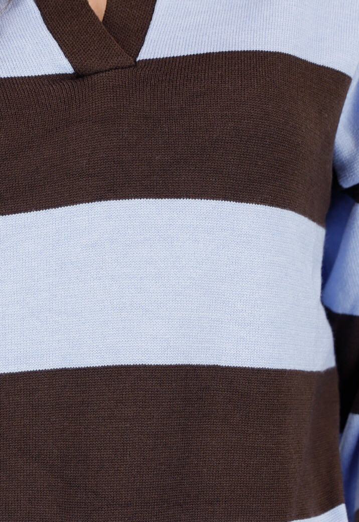Bruin en Lichtblauw Gestreepte Polo Trui met V Hals