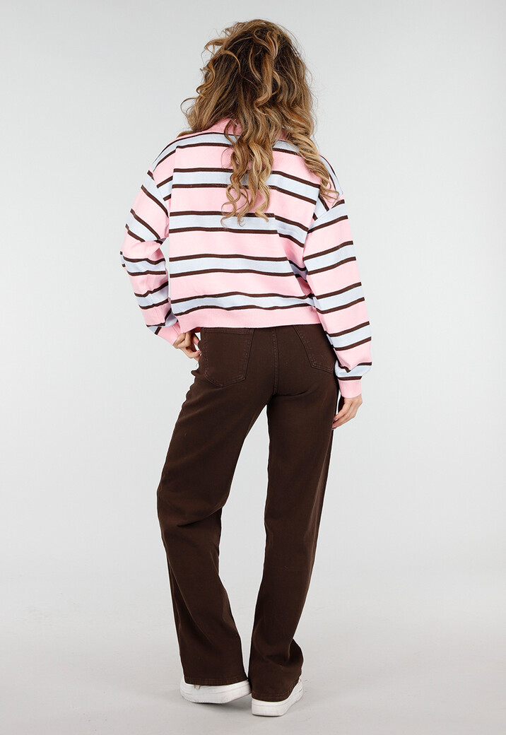 Gestreepte Polo Longsleeve in Roze Bruin en Blauw