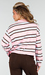 Gestreepte Polo Longsleeve in Roze Bruin en Blauw
