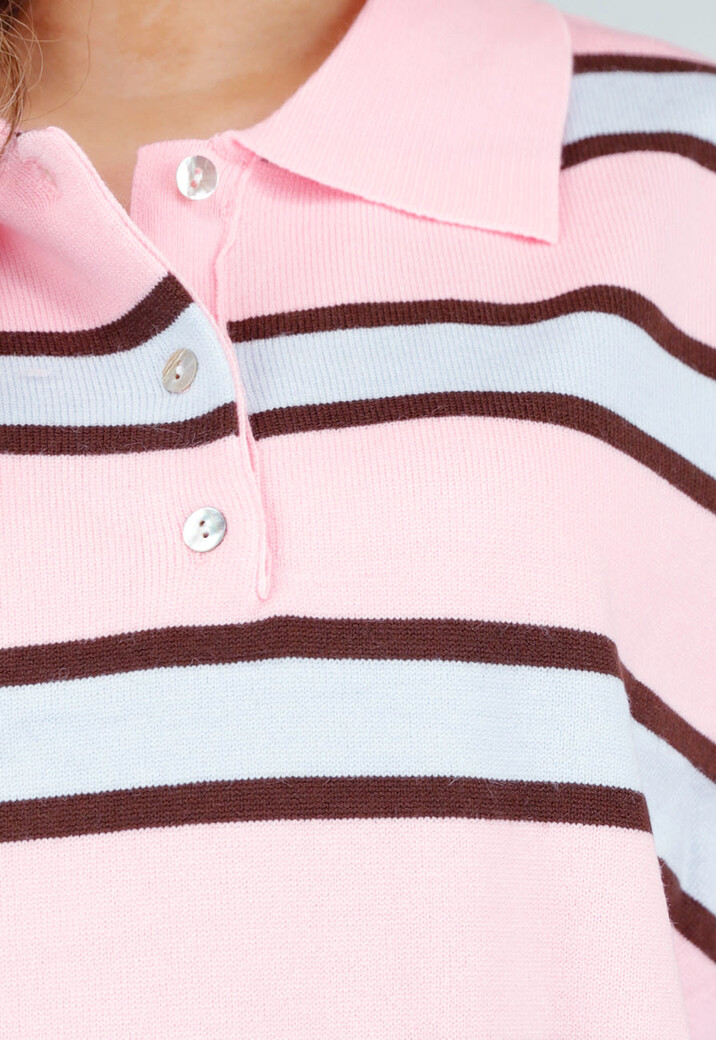 Gestreepte Polo Longsleeve in Roze Bruin en Blauw