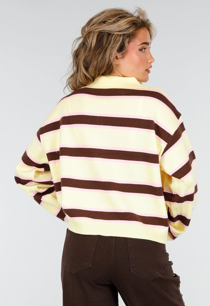 Gestreepte Polo Longsleeve in Geel Bruin en Roze