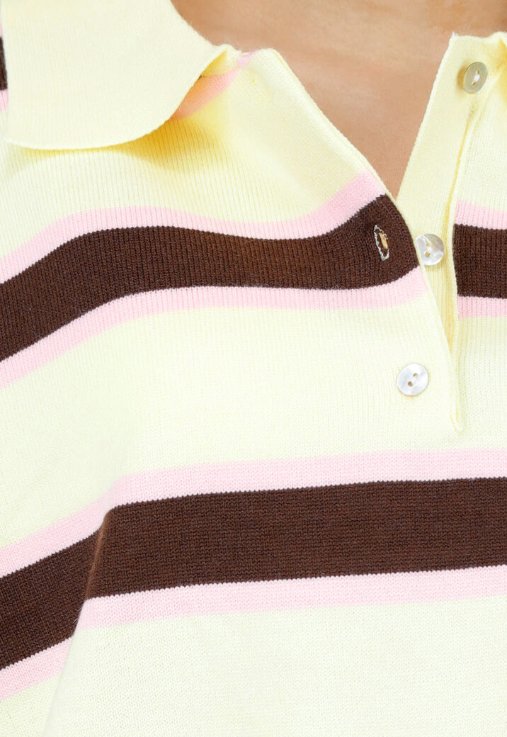 Gestreepte Polo Longsleeve in Geel Bruin en Roze