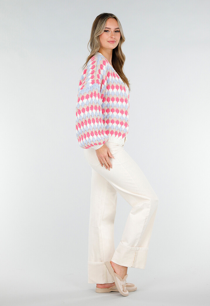 Gebreid Vest met Roze en Blauwe Ruitprint