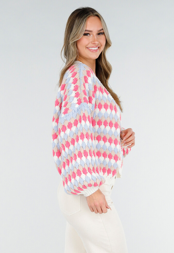 Gebreid Vest met Roze en Blauwe Ruitprint