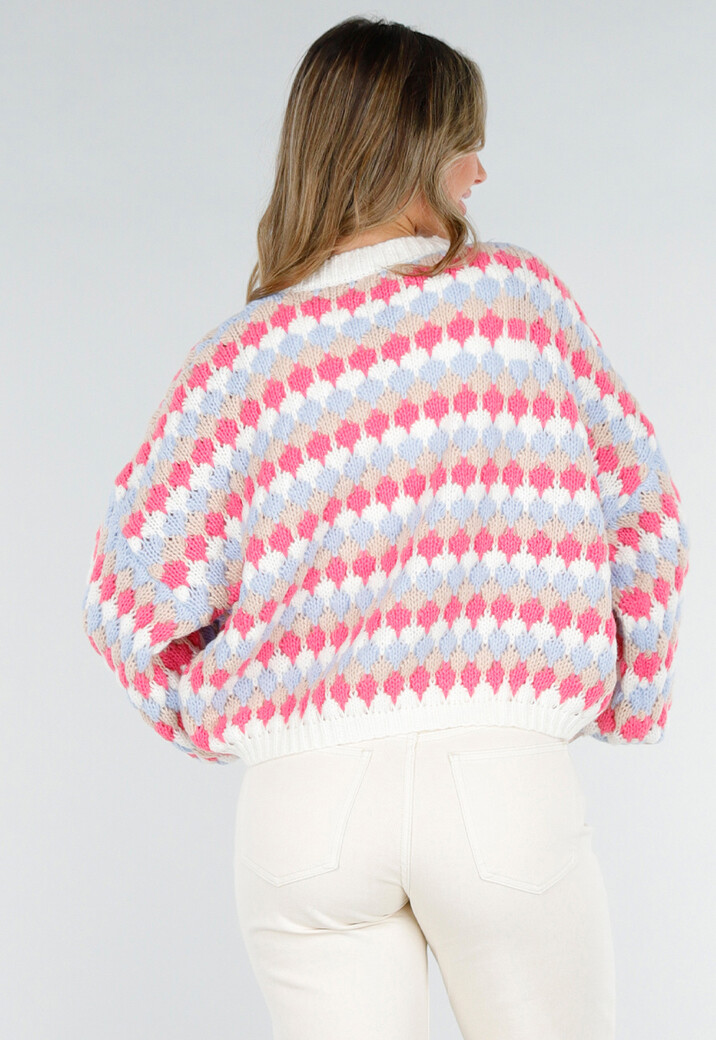 Gebreid Vest met Roze en Blauwe Ruitprint