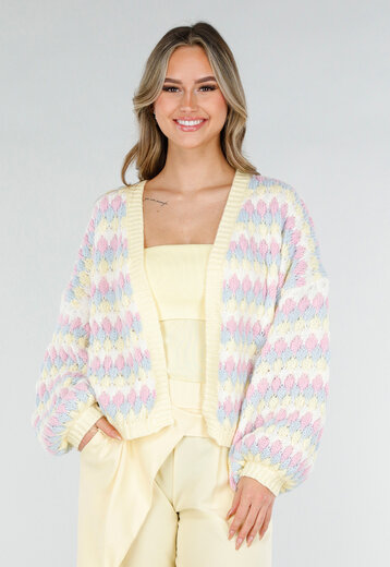 Pastel Gebreid Vest
