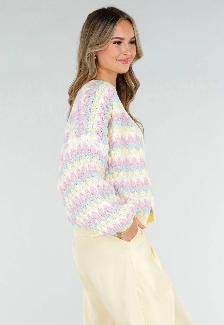 Gestreept Pastel Gebreid Vest