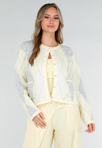 Pastel Geel Vest met Ruitpatroon