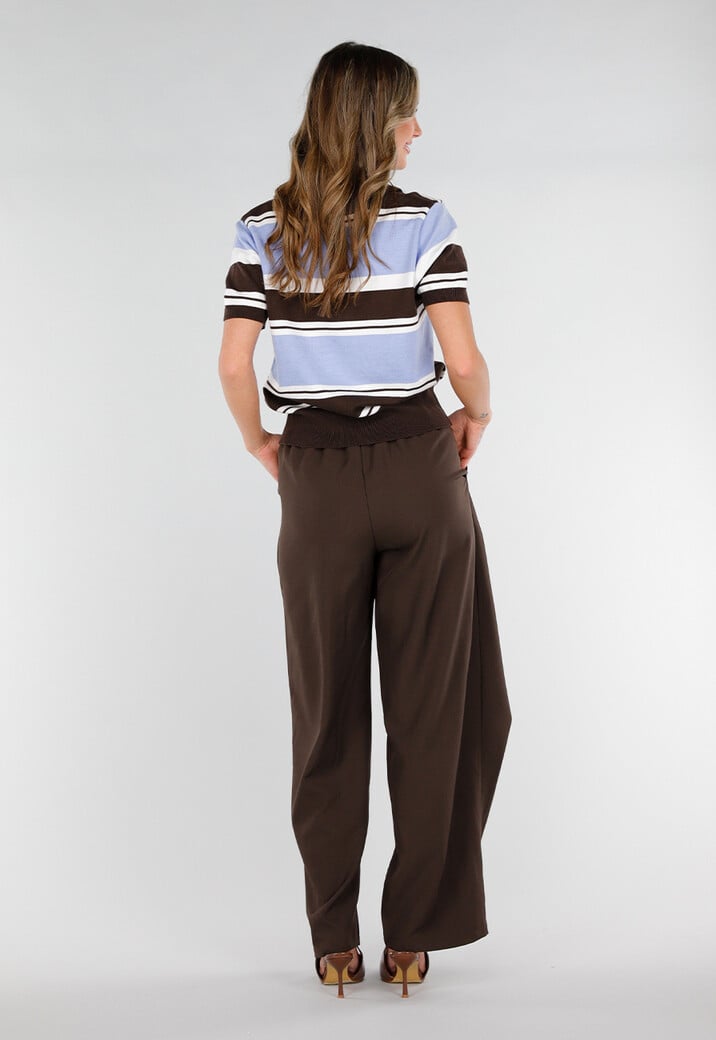Gestreepte Polo Top in Blauw en Bruin met Stretch