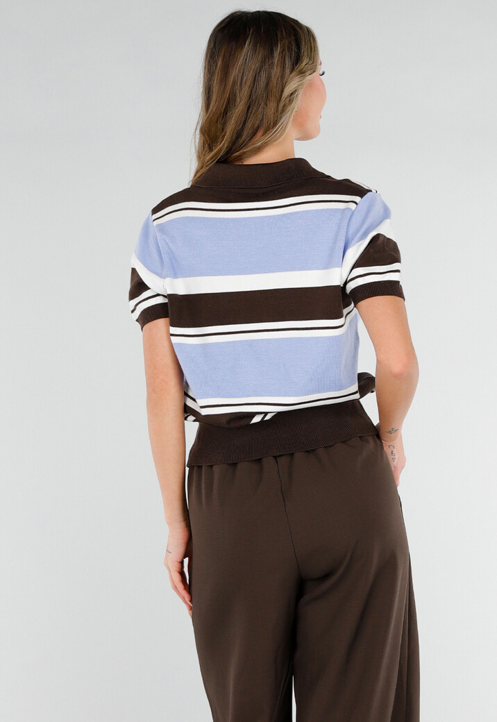 Gestreepte Polo Top in Blauw en Bruin met Stretch