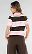 Gestreepte Polo Top in Roze en Bruin