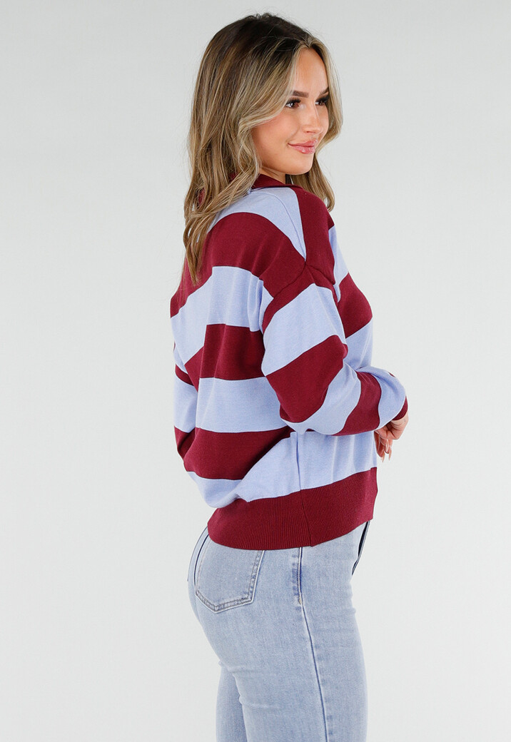 Bordeaux en Lichtblauw Gestreepte Polo Trui met V Hals