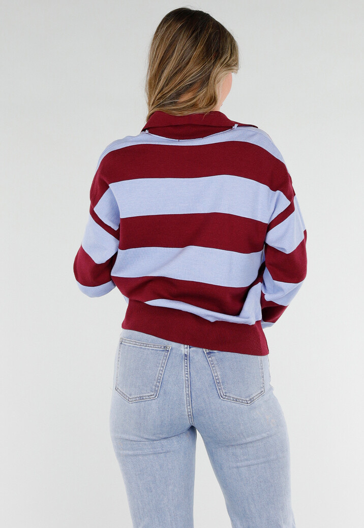 Bordeaux en Lichtblauw Gestreepte Polo Trui met V Hals