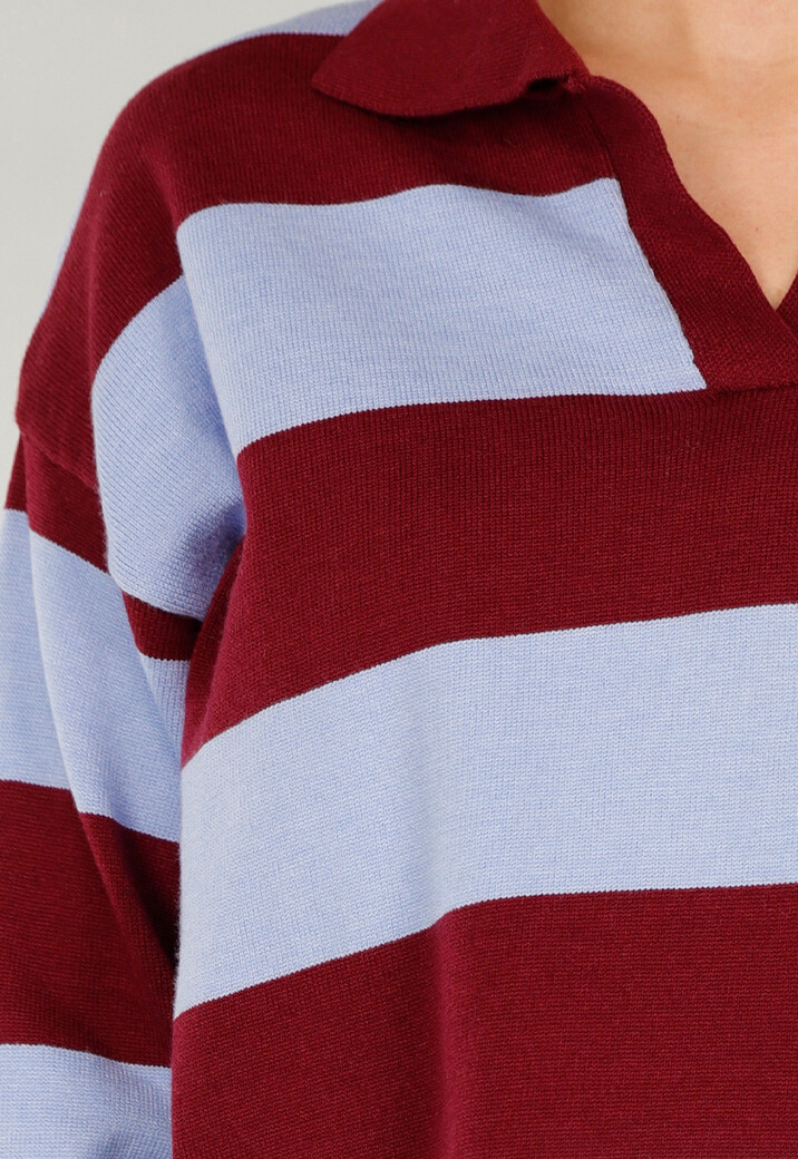 Bordeaux en Lichtblauw Gestreepte Polo Trui met V Hals