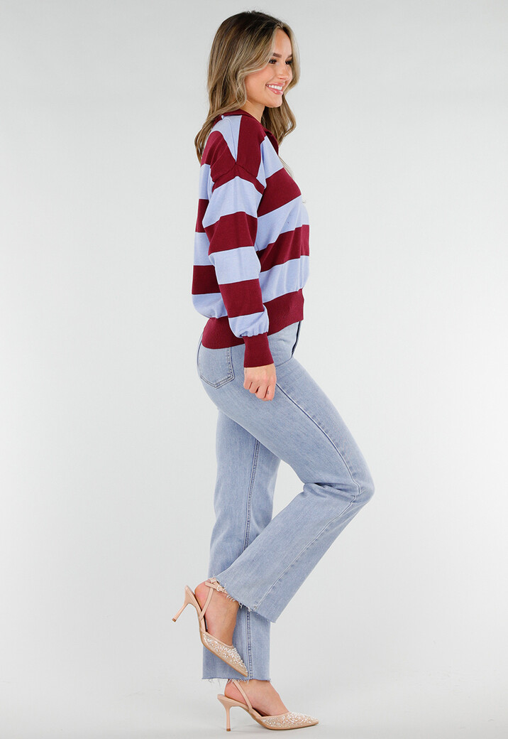 Bordeaux en Lichtblauw Gestreepte Polo Trui met V Hals