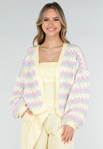 Pastel Gebreid Vest