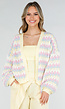 Gestreept Pastel Gebreid Vest