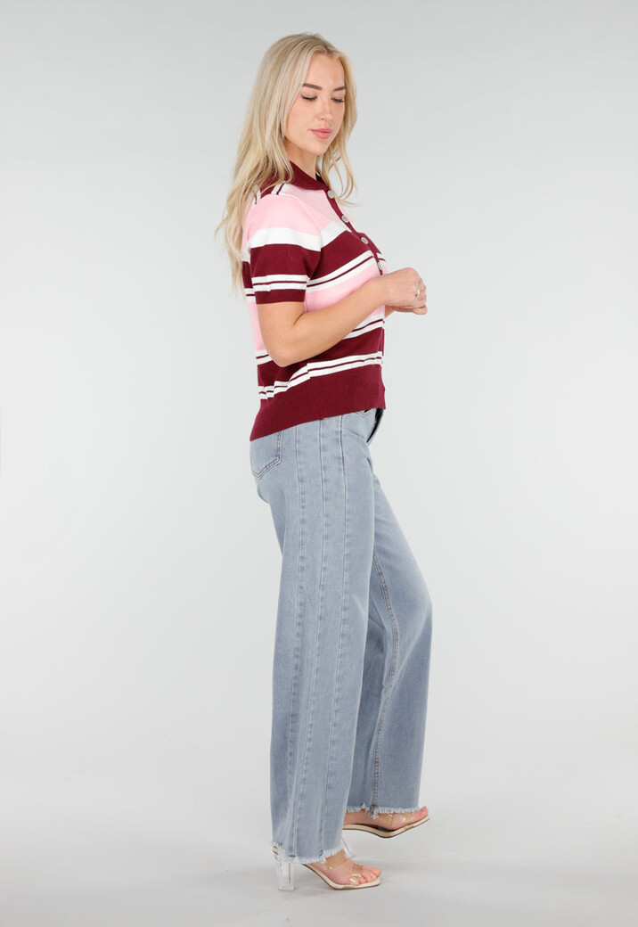 Roze en Bordeauxrode Gestreepte Polo Top met Korte Mouwen