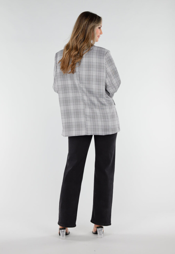 Grijze Geruite Blazer met Lange Mouwen en Knopen