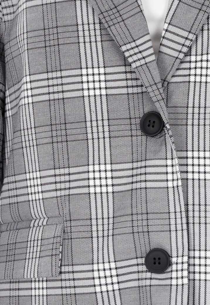 Grijze Geruite Blazer met Lange Mouwen en Knopen