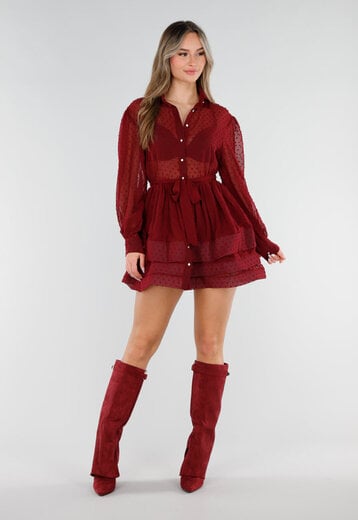 Bordeaux Mesh Jurk met Stippen