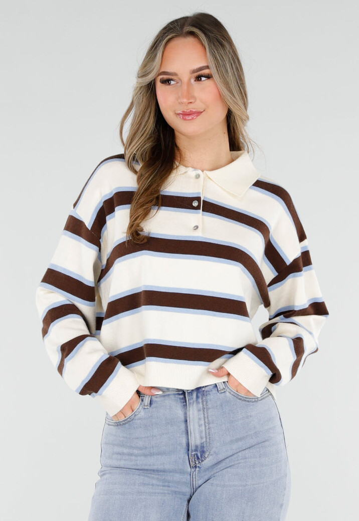 Gestreepte Polo Trui in Beige Bruin en Lichtblauw