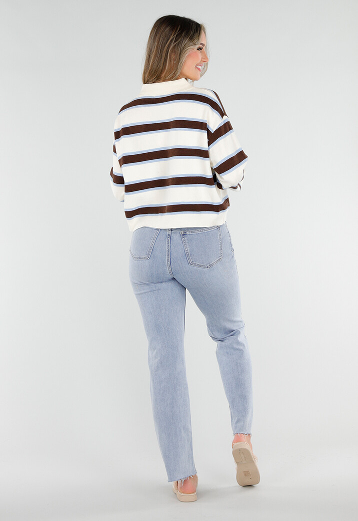 Gestreepte Polo Trui in Beige Bruin en Lichtblauw
