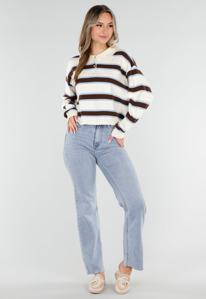 Gestreepte Polo Trui in Beige Bruin en Lichtblauw