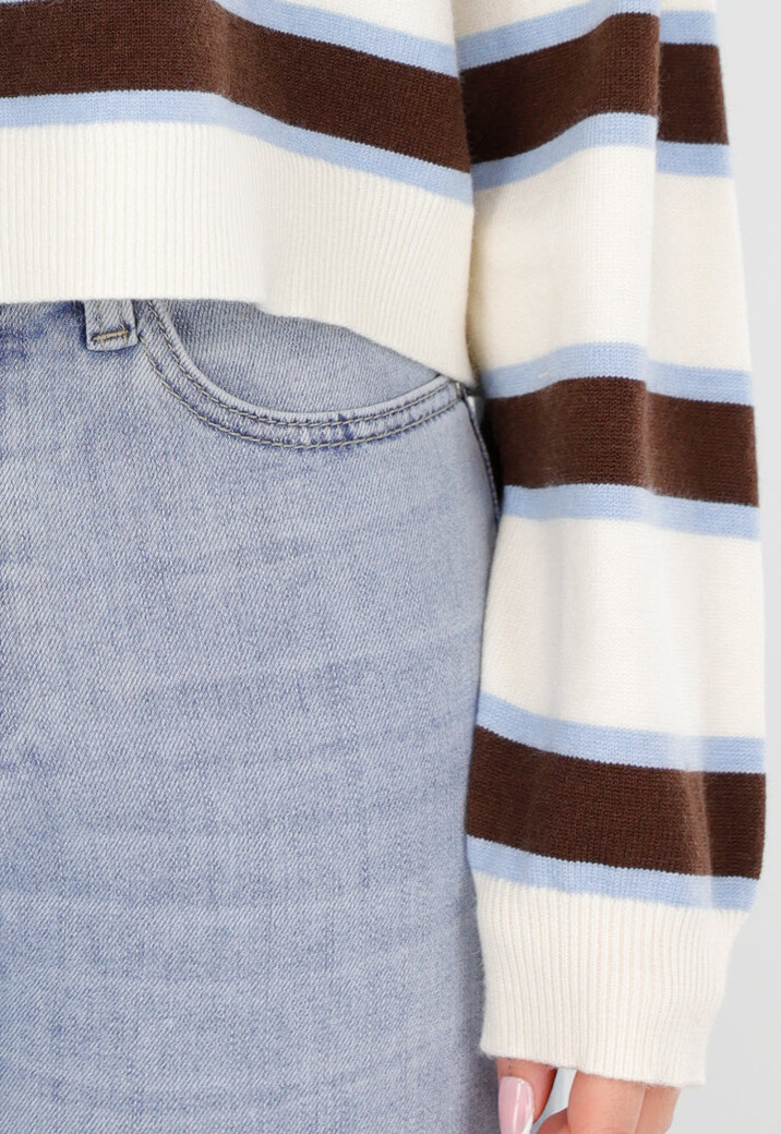 Gestreepte Polo Trui in Beige Bruin en Lichtblauw