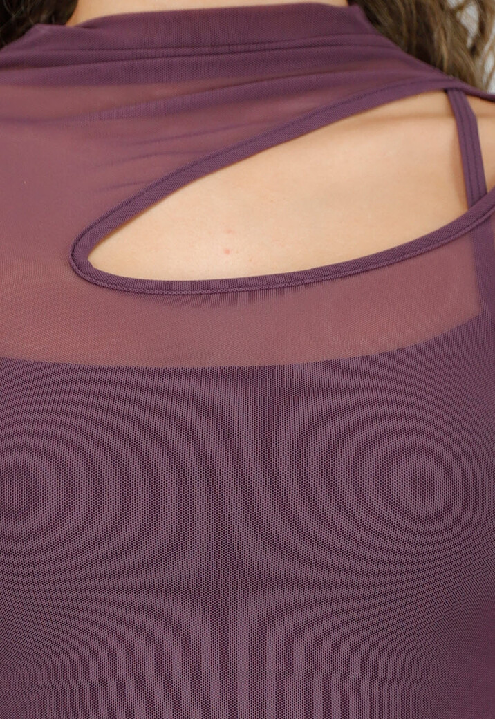 Paarse Mesh Crop Top met Lange Mouwen en Cut Out