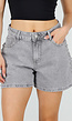 Grijze Denim Shorts met Studs en Rechte Pijpen