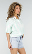Mintgroene Gestreepte Polo T-shirt met Kraag en Korte Mouwen