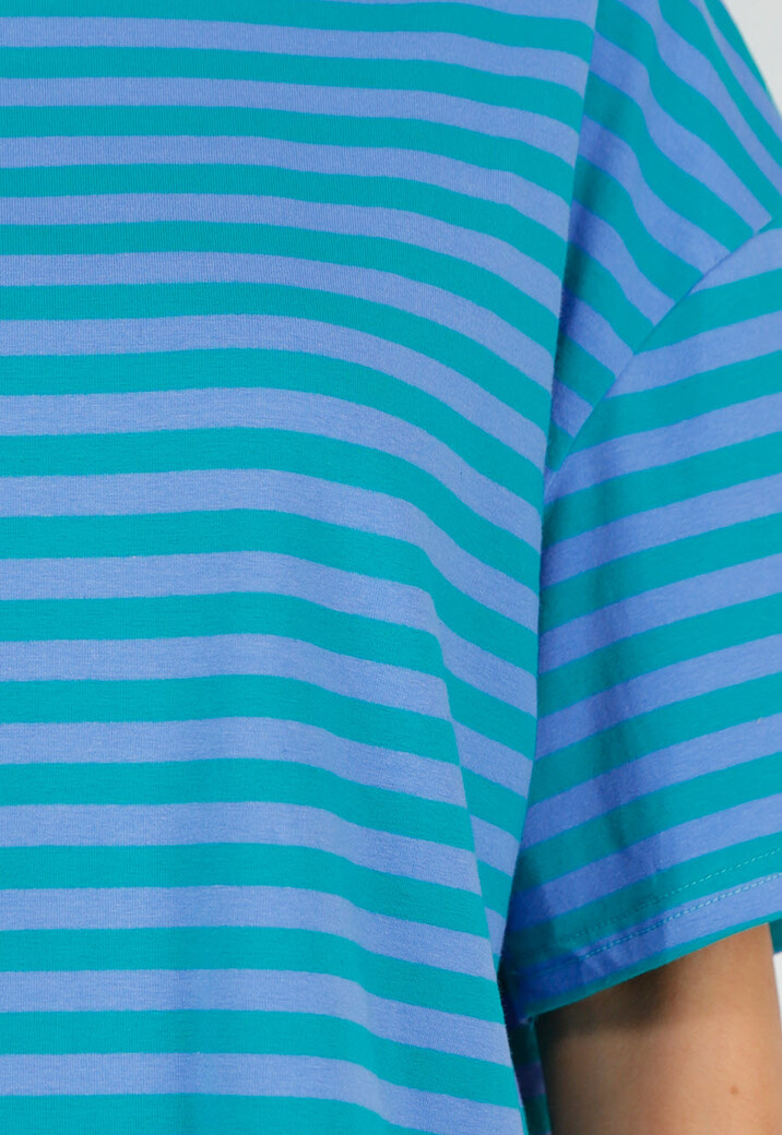 Blauw Groene Gestreepte T-shirt met Ronde Hals en Korte Mouwen