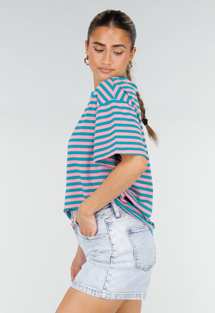 Roze Turquoise Gestreept T-shirt met Korte Mouwen en Ronde Hals