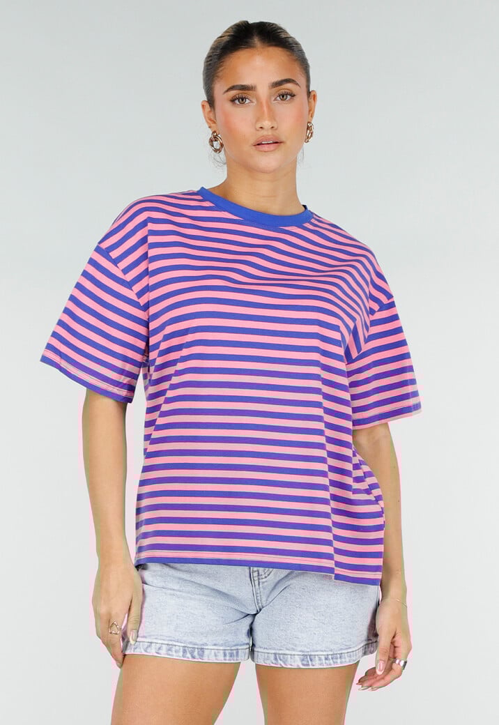 Blauw Roze Gestreept T-shirt met Korte Mouwen en Ronde Hals