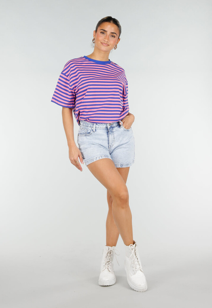 Blauw Roze Gestreept T-shirt met Korte Mouwen en Ronde Hals