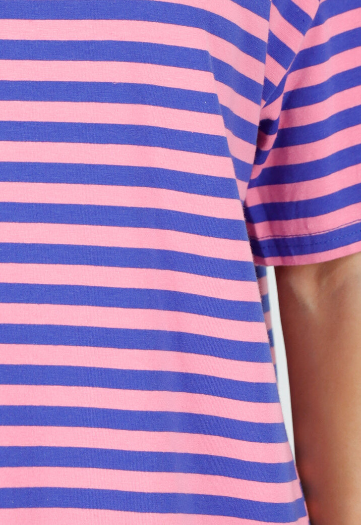 Blauw Roze Gestreept T-shirt met Korte Mouwen en Ronde Hals