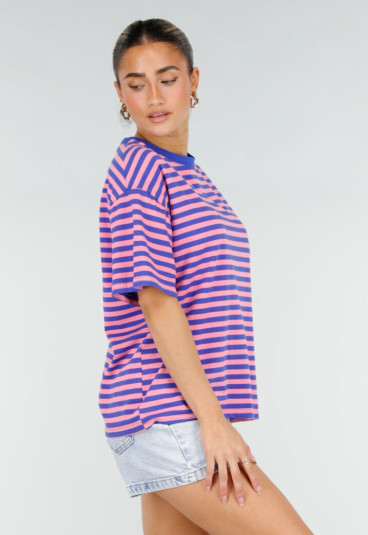 Blauw Roze Gestreept T-shirt met Korte Mouwen en Ronde Hals