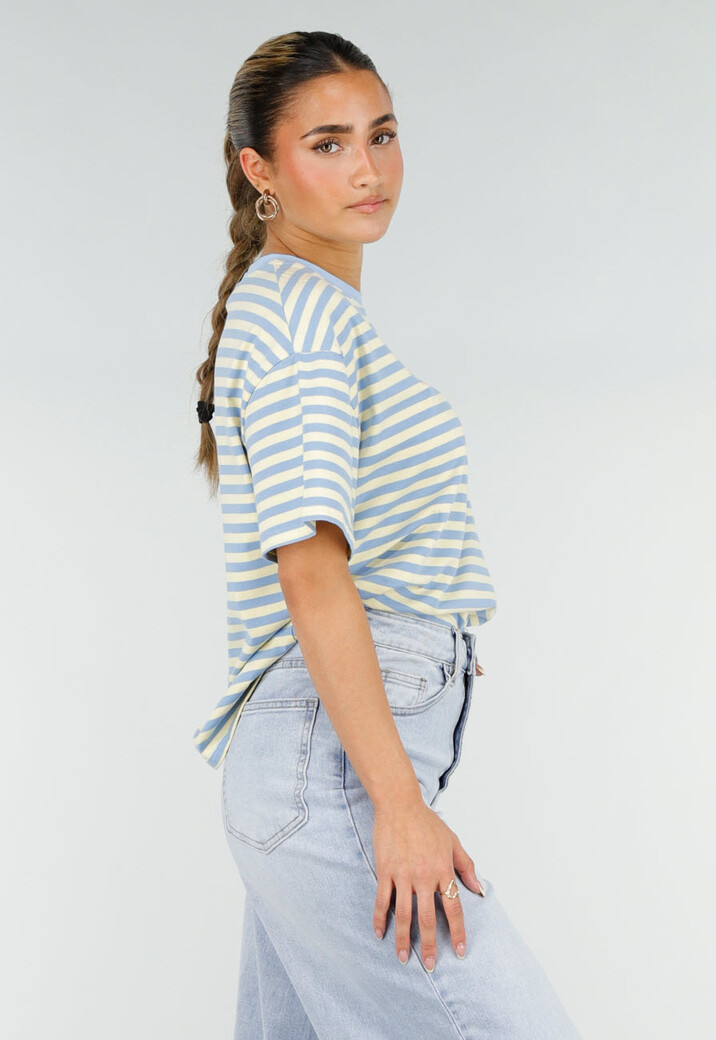 Geel Blauw Gestreept T-shirt met Korte Mouwen en Ronde Hals