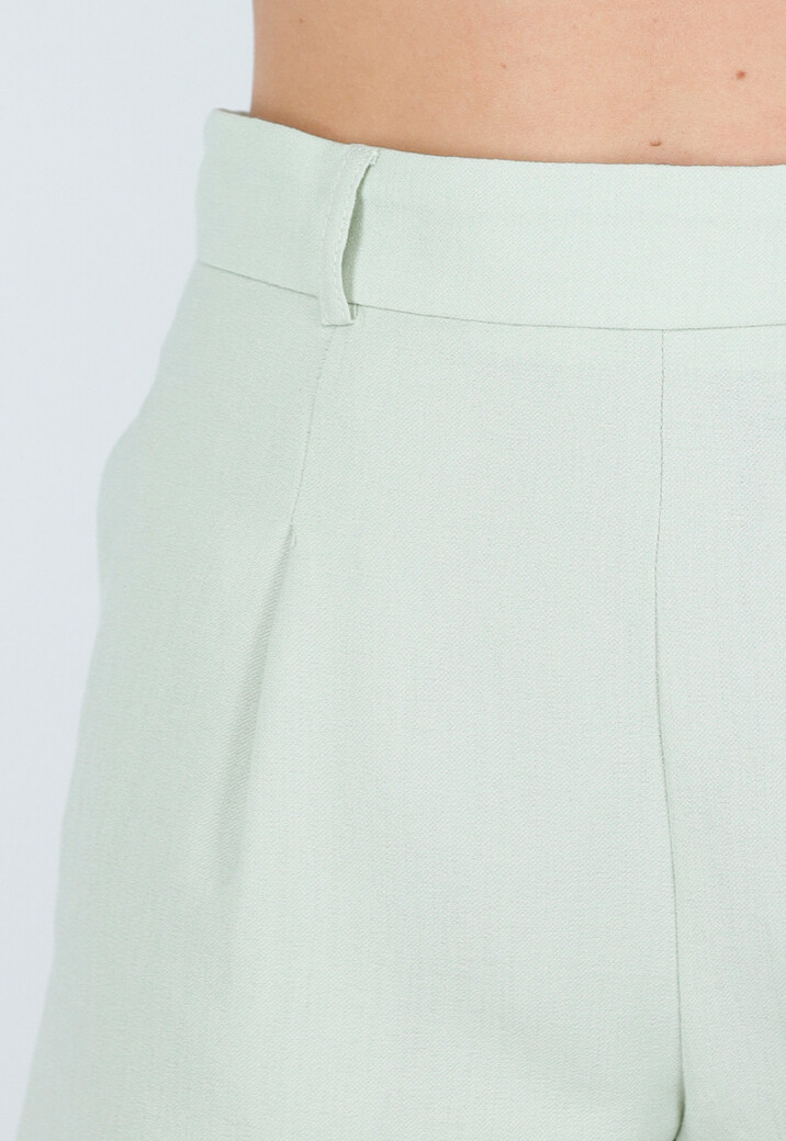 Mintgroene Linnenlook Short met Plooien en Rechte Pijpen