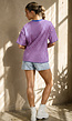 Blauw Roze Gestreept T-shirt met Korte Mouwen en Ronde Hals